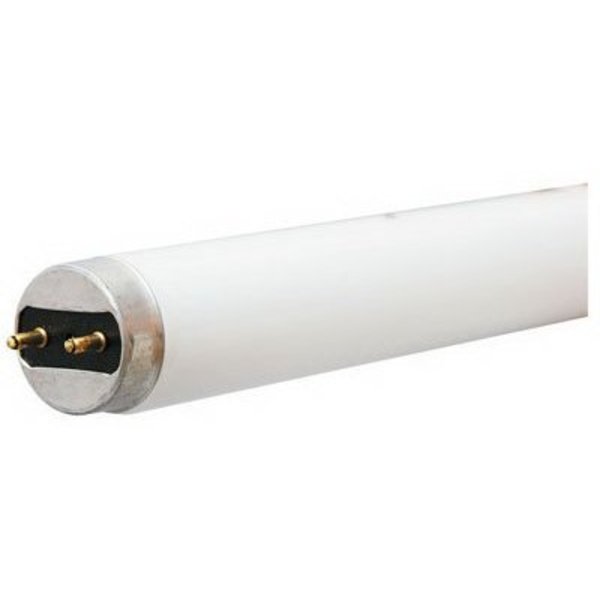 Current GE 32W 4' WHT T8 Tube 41933